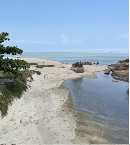 Penang National Park